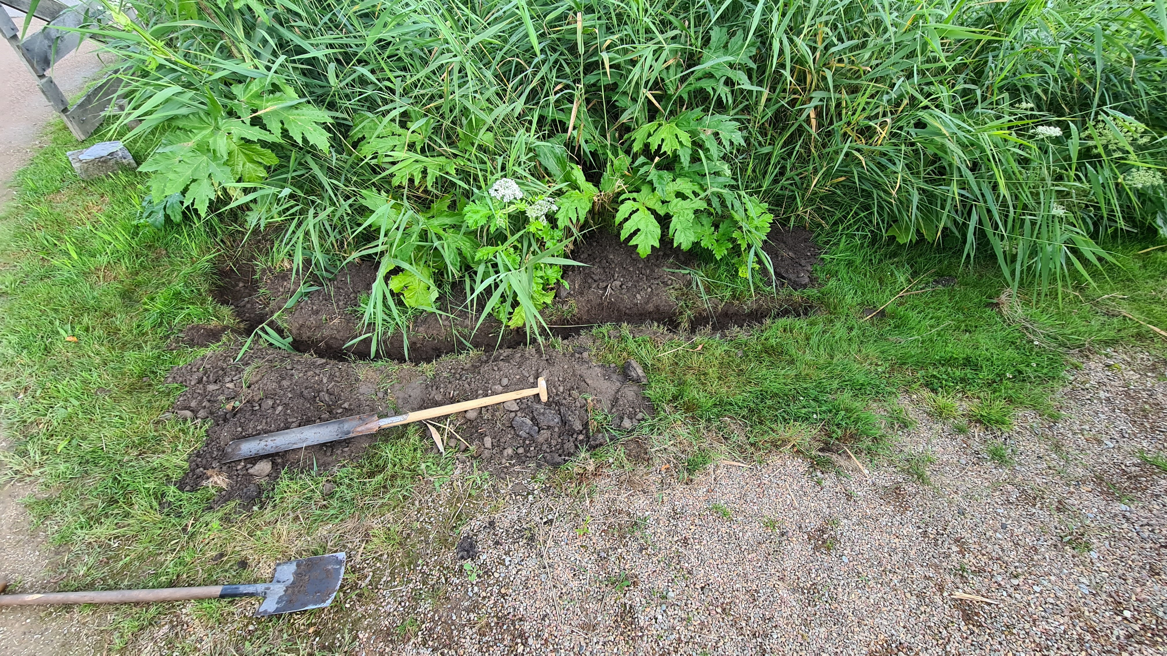 Smalle geul langs groen voor glasvezel